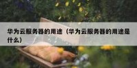 华为云服务器的用途（华为云服务器的用途是什么）