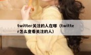 twitter关注的人在哪（twitter怎么查看关注的人）