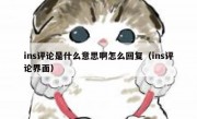 ins评论是什么意思啊怎么回复（ins评论界面）