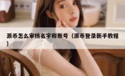 派币怎么审核名字和账号（派币登录新手教程）