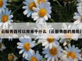 云服务器可以用来干什么（云服务器的用处）