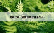 死粉代刷（刷死粉的软件是什么）