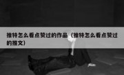 推特怎么看点赞过的作品（推特怎么看点赞过的推文）