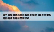 国外大型服务器商店有哪些品牌（国外大型服务器商店有哪些品牌手机）