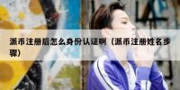 派币注册后怎么身份认证啊（派币注册姓名步骤）