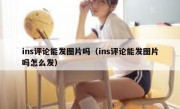 ins评论能发图片吗（ins评论能发图片吗怎么发）