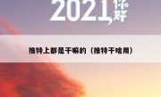 推特上都是干嘛的（推特干啥用）