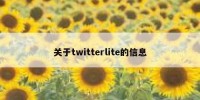 关于twitterlite的信息