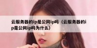 云服务器的ip是公网ip吗（云服务器的ip是公网ip吗为什么）
