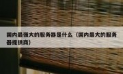 国内最强大的服务器是什么（国内最大的服务器提供商）