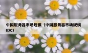 中国服务器市场规模（中国服务器市场规模 IDC）