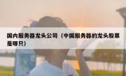 国内服务器龙头公司（中国服务器的龙头股票是哪只）