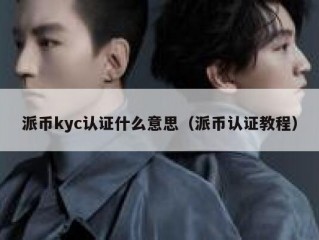 派币kyc认证什么意思（派币认证教程）