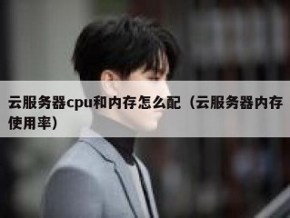 云服务器cpu和内存怎么配（云服务器内存使用率）