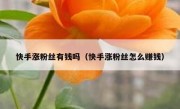 快手涨粉丝有钱吗（快手涨粉丝怎么赚钱）