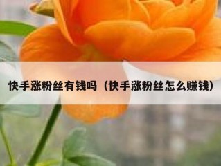 快手涨粉丝有钱吗（快手涨粉丝怎么赚钱）