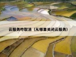 云服务咋取消（从哪里关闭云服务）