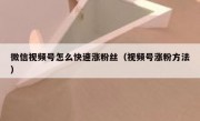 微信视频号怎么快速涨粉丝（视频号涨粉方法）