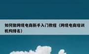 如何做跨境电商新手入门教程（跨境电商培训机构排名）