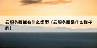 云服务器都有什么类型（云服务器是什么样子的）