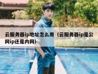 云服务器ip地址怎么用（云服务器ip是公网ip还是内网）