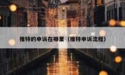 推特的申诉在哪里（推特申诉流程）