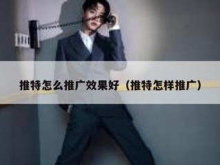 推特怎么推广效果好（推特怎样推广）