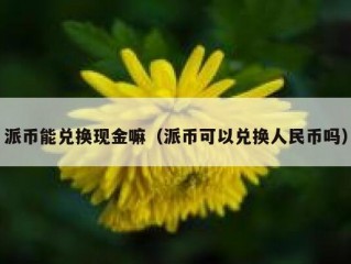 派币能兑换现金嘛（派币可以兑换人民币吗）