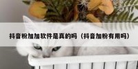 抖音粉加加软件是真的吗（抖音加粉有用吗）