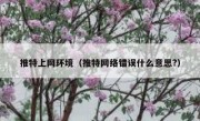 推特上网环境（推特网络错误什么意思?）