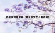 抖音获赞哪里看（抖音获赞怎么看不到）