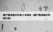 国产服务器芯片前十大排名（国产服务器芯片排行榜）