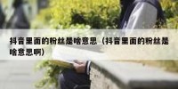 抖音里面的粉丝是啥意思（抖音里面的粉丝是啥意思啊）