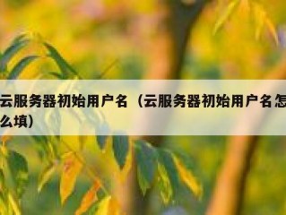 云服务器初始用户名（云服务器初始用户名怎么填）