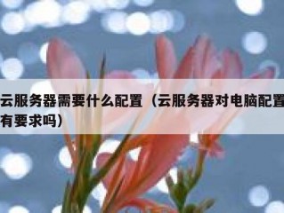 云服务器需要什么配置（云服务器对电脑配置有要求吗）