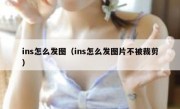 ins怎么发图（ins怎么发图片不被裁剪）
