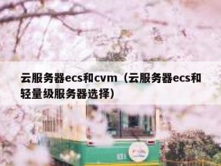云服务器ecs和cvm（云服务器ecs和轻量级服务器选择）
