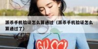 派币手机验证怎么算通过（派币手机验证怎么算通过了）