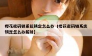 樱花密码锁系统锁定怎么办（樱花密码锁系统锁定怎么办解除）