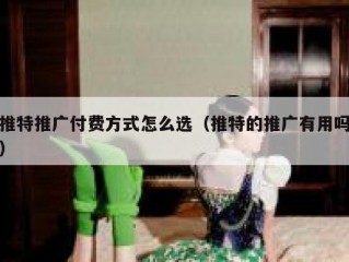 推特推广付费方式怎么选（推特的推广有用吗）