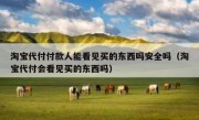 淘宝代付付款人能看见买的东西吗安全吗（淘宝代付会看见买的东西吗）