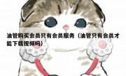 油管购买会员只有会员服务（油管只有会员才能下载视频吗）