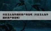 抖音怎么加外国的用户微信呢（抖音怎么加外国的用户微信呢）