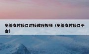 免签支付接口对接教程视频（免签支付接口平台）