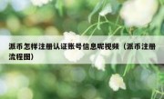 派币怎样注册认证账号信息呢视频（派币注册流程图）