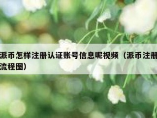 派币怎样注册认证账号信息呢视频（派币注册流程图）