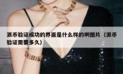 派币验证成功的界面是什么样的啊图片（派币验证需要多久）