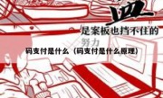 码支付是什么（码支付是什么原理）