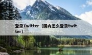 登录Twitter（国内怎么登录twitter）