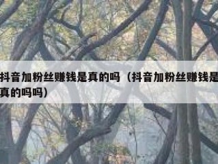 抖音加粉丝赚钱是真的吗（抖音加粉丝赚钱是真的吗吗）